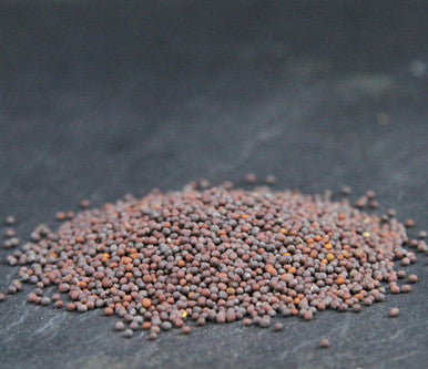 Moutarde brune en grains – Ingrédient culinaire sec 100 % naturel