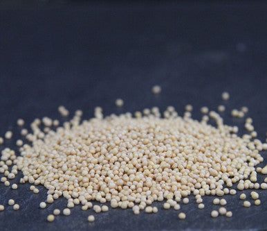 Moutarde jaune en grains – Ingrédient culinaire sec 100 % naturel